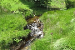 10. Downstream from Raven's nest (1)