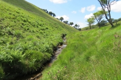 10a. Below Little Ashcombe downstream from Raven's nest (4)