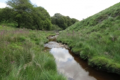11. Below Little Ashcombe upstream from Warren's Bridge (11)