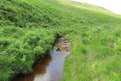 11. Below Little Ashcombe upstream from Warren's Bridge (12)