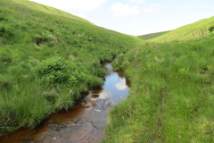 11. Below Little Ashcombe upstream from Warren's Bridge (13)