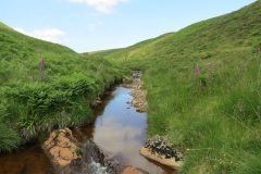 11. Below Little Ashcombe upstream from Warren's Bridge (14)