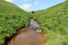 11. Below Little Ashcombe upstream from Warren's Bridge (15)