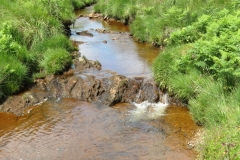 11. Below Little Ashcombe upstream from Warren's Bridge (16)