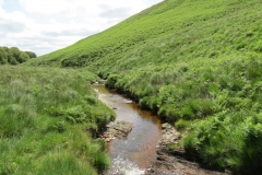 11. Below Little Ashcombe upstream from Warren's Bridge (17)