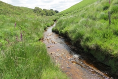 11. Below Little Ashcombe upstream from Warren's Bridge (2)