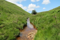 11. Below Little Ashcombe upstream from Warren's Bridge (3)