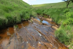 11. Below Little Ashcombe upstream from Warren's Bridge (7)
