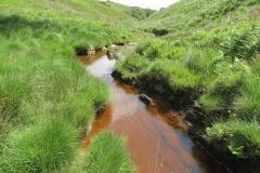 11. Below Little Ashcombe upstream from Warren's Bridge (8)