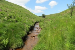 11. Below Little Ashcombe upstream from Warren's Bridge (9)