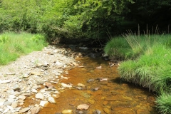 11a. Upstream from Warren's Bridge (22)