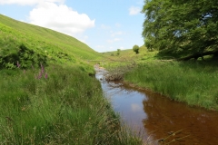 11a. Upstream from Warren's Bridge (23)