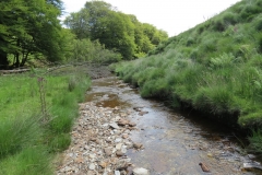 11a. Upstream from Warren's Bridge (25)