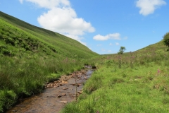 11a. Upstream from Warren's Bridge (26)