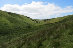 13. Looking upstream from opposite Little Ashcombe