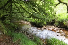 14. Upstream from Warren's Bridge (3)