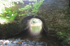 15. Warren's Bridge upstream arch