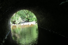 16. Looking downstream through Warren's Bridge