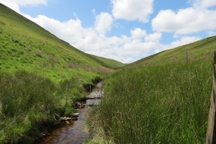 8. Downstream from Raven's Nest (7)