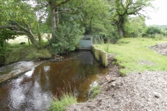 Exebridge Fish Ponds Leat 