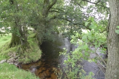11c. Exebridge fish ponds leat