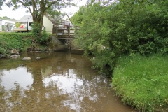 10. Downstream from Court Cottage Bridge (1)