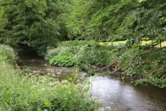 10. Downstream from Court Cottage Bridge (3)