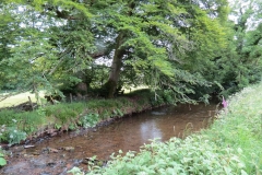 10. Downstream from Court Cottage Bridge (4)