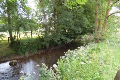 10. Downstream from Court Cottage Bridge (6)