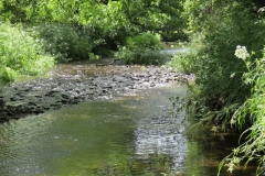 11a. Flowing below Road Castle Earthwork  (5)