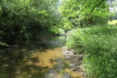 11b. Flowing past Lyncombe Wood (1)