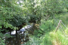 11b. Flowing past Lyncombe Wood (10)