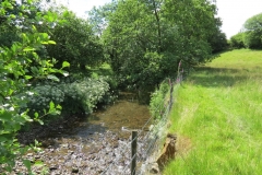 11b. Flowing past Lyncombe Wood (12)