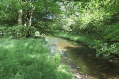 11b. Flowing past Lyncombe Wood (2)