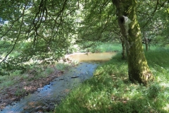 11b. Flowing past Lyncombe Wood (4)