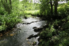 11b. Flowing past Lyncombe Wood (6)