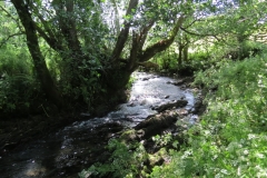 11b. Flowing past Lyncombe Wood (7)