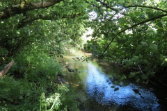 11b. Flowing past Lyncombe Wood (8)