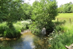11c. Flowing past Lyncombe Wood  (1)