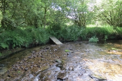 11c. Flowing past Lyncombe Wood  (10)