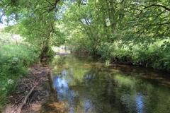 11c. Flowing past Lyncombe Wood  (11)