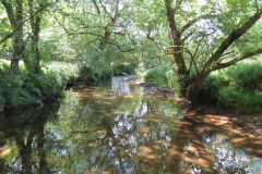 11c. Flowing past Lyncombe Wood  (12)