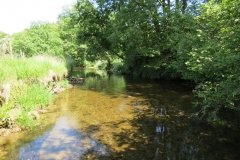 11c. Flowing past Lyncombe Wood  (13)