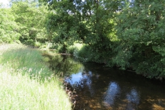 11c. Flowing past Lyncombe Wood  (14)