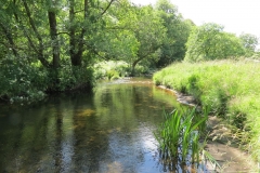 11c. Flowing past Lyncombe Wood  (15)