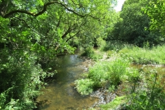 11c. Flowing past Lyncombe Wood  (16)