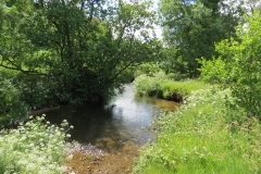 11c. Flowing past Lyncombe Wood  (2)