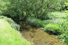 11c. Flowing past Lyncombe Wood  (3)