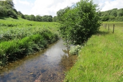 11c. Flowing past Lyncombe Wood  (4)