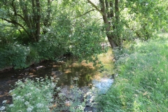 11c. Flowing past Lyncombe Wood  (6)